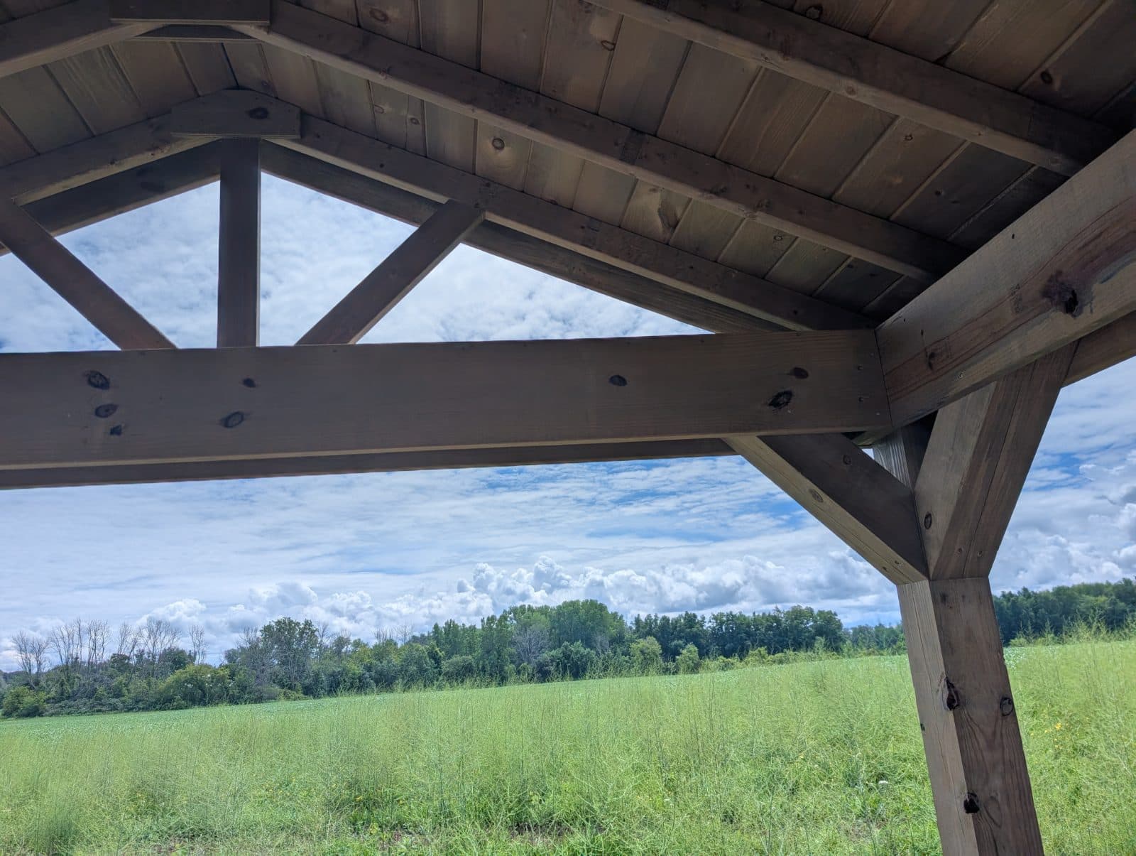 10x20 — photo 3